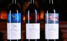 有波尔多地区历来最好的作品美誉的2009年木桐葡萄酒