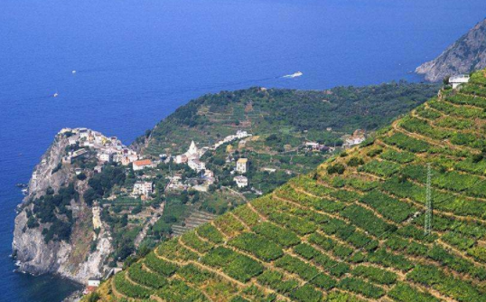 利古里亚(Liguria)产区——意大利独特葡萄酒产区
