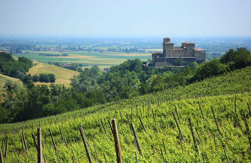 艾米利亚-罗马涅(Emilia-Romagna)产区——意大利多样性葡萄酒产区