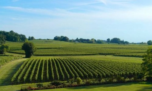 肯塔基州（Kentucky）产区——美国优质葡萄酒产区