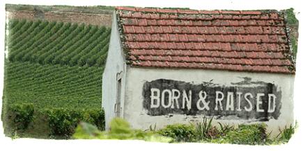 生养酒庄（Born & Raised Wines）