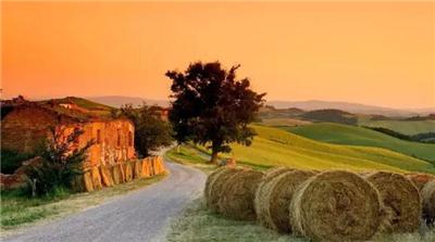 托斯卡纳(Tuscany)产区——意大利最著名葡萄酒产区之一