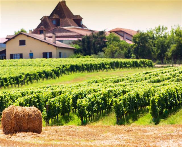 梅多克(Medoc)产区——法国世界闻名的优质葡萄酒产区