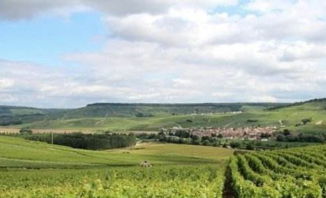 马恩河谷产区(Vallee de la Marne)——法国香槟重要子产区