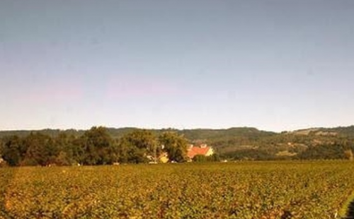 加州葡萄酒商开始恢复对外营业