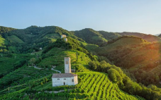 今年意大利瓦多比亚德内普洛塞葡萄产量下降10%