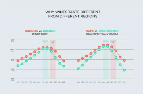 葡萄酒产地的气候真的决定葡萄酒的特点吗？