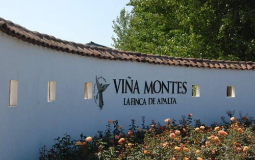 蒙特斯酒庄（Montes Wines）