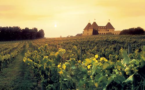 安茹产区——法国知名桃红葡萄酒产区