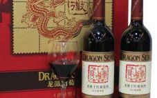 中国古老的红酒品牌：龙徽红酒文化