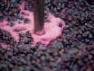 葡萄酒发酵需要什么样的温度？