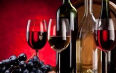 进口红酒代理商选择代理红酒的原则