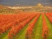 你想了解的西班牙六大顶级葡萄酒产区旅游指南
