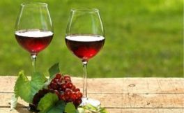 关于西施巴露雅红葡萄酒的品鉴
