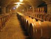 酿酒葡萄品种和它的知识综述