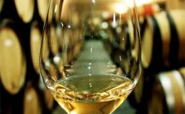 全球五个白葡萄酒最佳产区