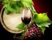 美酒与葡萄树有着怎样的关联？