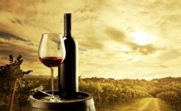凝聚托斯卡纳灵魂的华盛顿美酒山谷葡萄酒到底有何魅力？