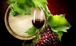 葡萄酒的保质期究竟有多久？