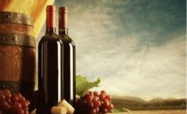 如果你想了解白葡萄酒那就了解摩泽尔产区吧