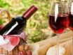 葡萄酒不同的品质来自于不同的风土条件