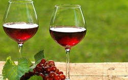  如何在婚宴选择合适的葡萄酒？