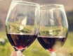 喝葡萄酒可以降低女性患抑郁症的概率？