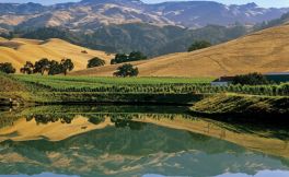 加州葡萄酒产区是美国的葡萄酒核心