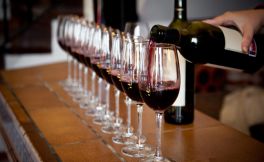 你了解西欧葡萄酒酿造理念的差别吗？