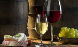 种“葡萄酒”　适宜种葡萄的地方在哪里呢？