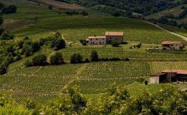 法国主要葡萄酒产区 法国葡萄酒十大产区