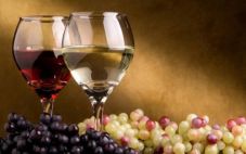 法国葡萄酒标为什么不标注酿酒葡萄