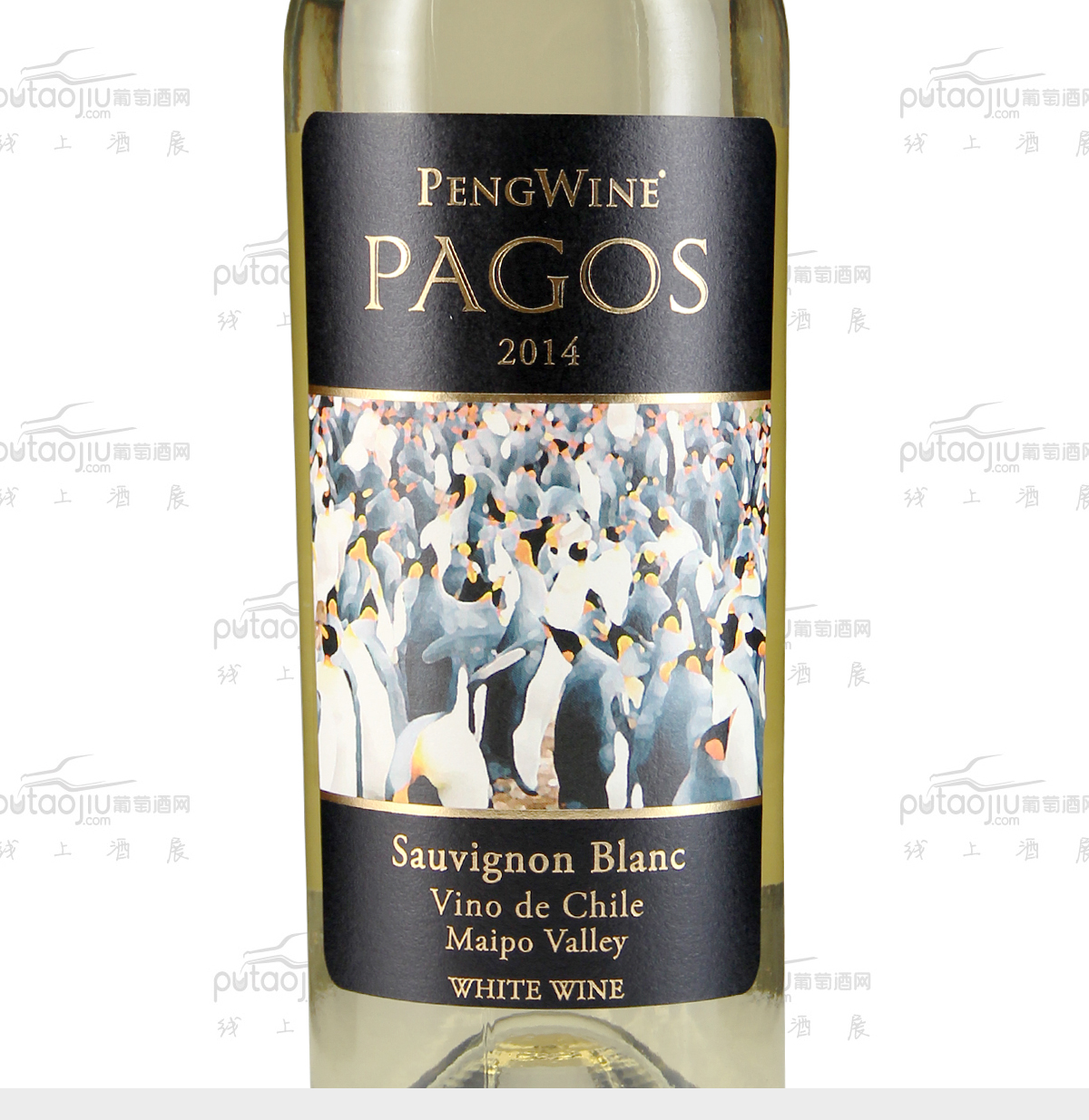 智利迈坡谷pengwine酒庄经典系列霞多丽长相思帕高斯干白葡萄酒