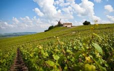 勃艮第产区 法国备受欢迎的葡萄酒产区