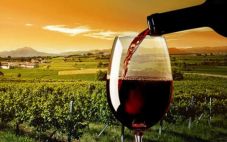去年西班牙葡萄酒出口量位居全球第一，但葡萄酒出口量严重依赖散装酒