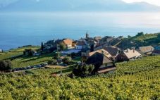 瑞士葡萄酒产区 强势归来的瑞士葡萄酒
