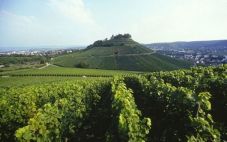 符腾堡葡萄酒 德国红葡萄酒的生产地