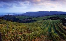 法国科西嘉产区 走进美丽的科西嘉葡萄酒产区