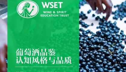 WSET高级品酒师课程（中文）