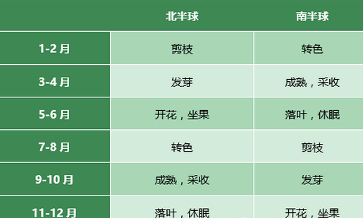 北半球vs南半球葡萄生长全对比 你们了解吗 葡萄酒网