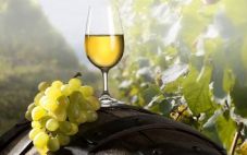 葡萄酒的酿制方法 葡萄酒酿制工艺的异同