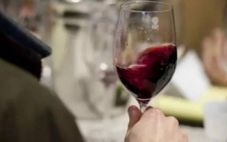 葡萄酒中的单宁是什么？有什么作用？ 