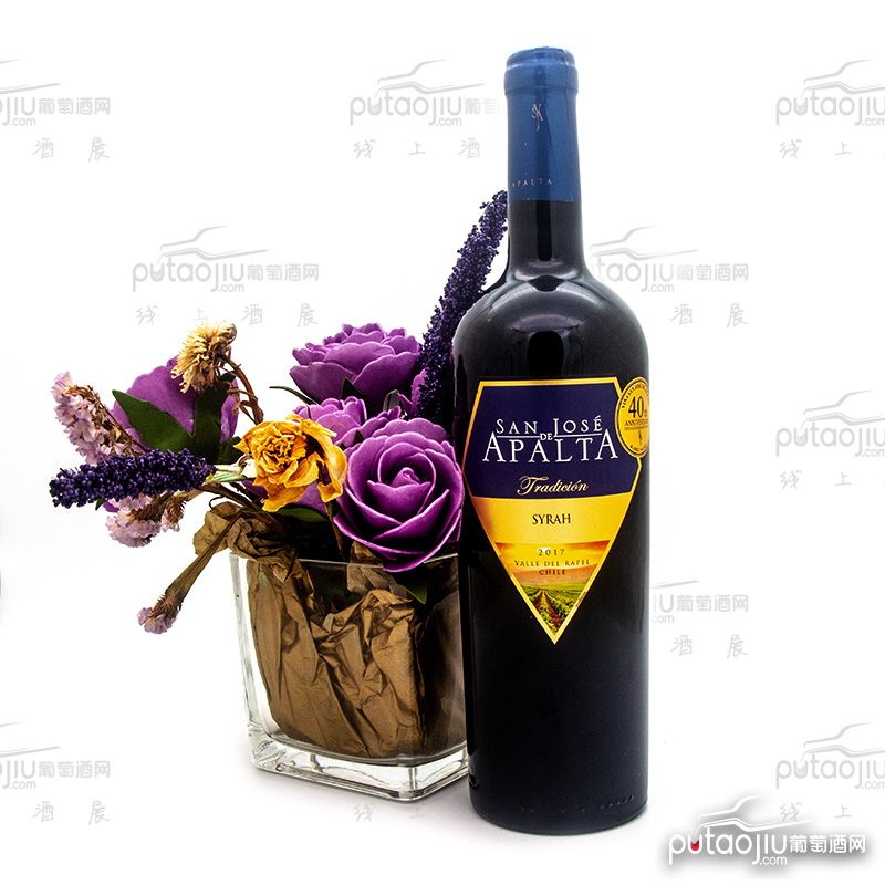 智利拉佩尔谷圣何塞阿帕塔西拉传统精选干红葡萄酒