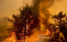 纳帕谷葡萄酒产区再度遭受森林大火袭击