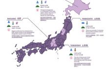 日本国产葡萄酒产量不断在上涨