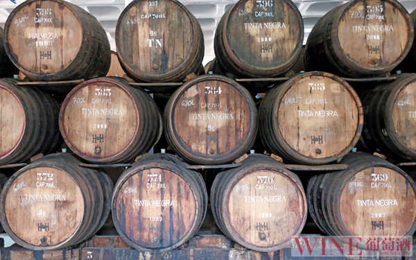 六种酿造葡萄起泡酒的方式