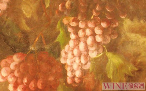 内格瑞特，法国小众却有特色的葡萄品种