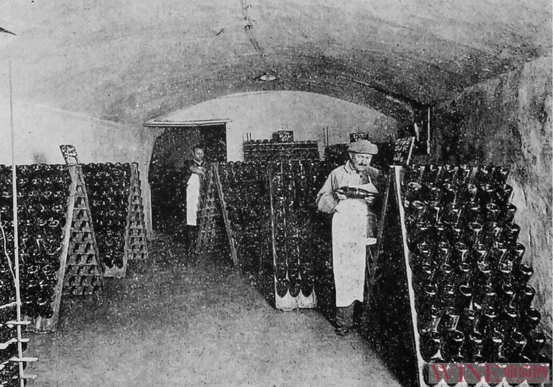 黑塞哥维那葡萄酒的栽培历史