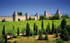 丰凯路葡萄酒集团，法国大南部的酒业精英