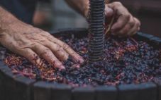 葡萄酒的酿酒方式有什么区别？